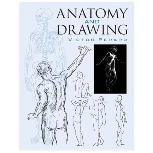 Anatomy and Drawing